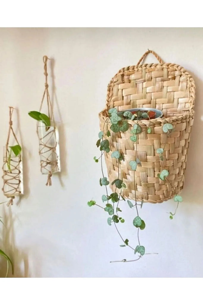 hasır duvar saksısı